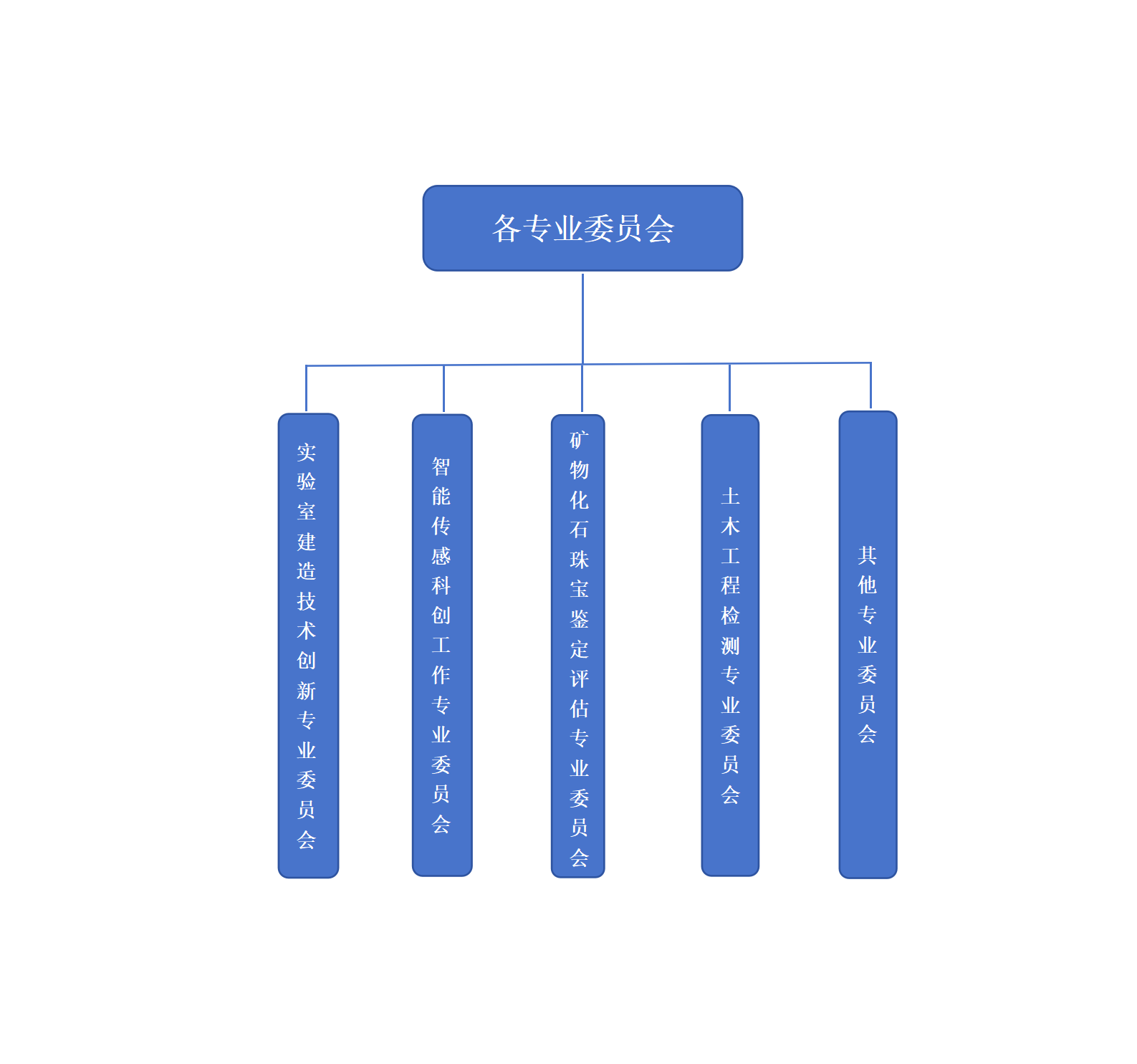 各专业委员会图示_01(1).png